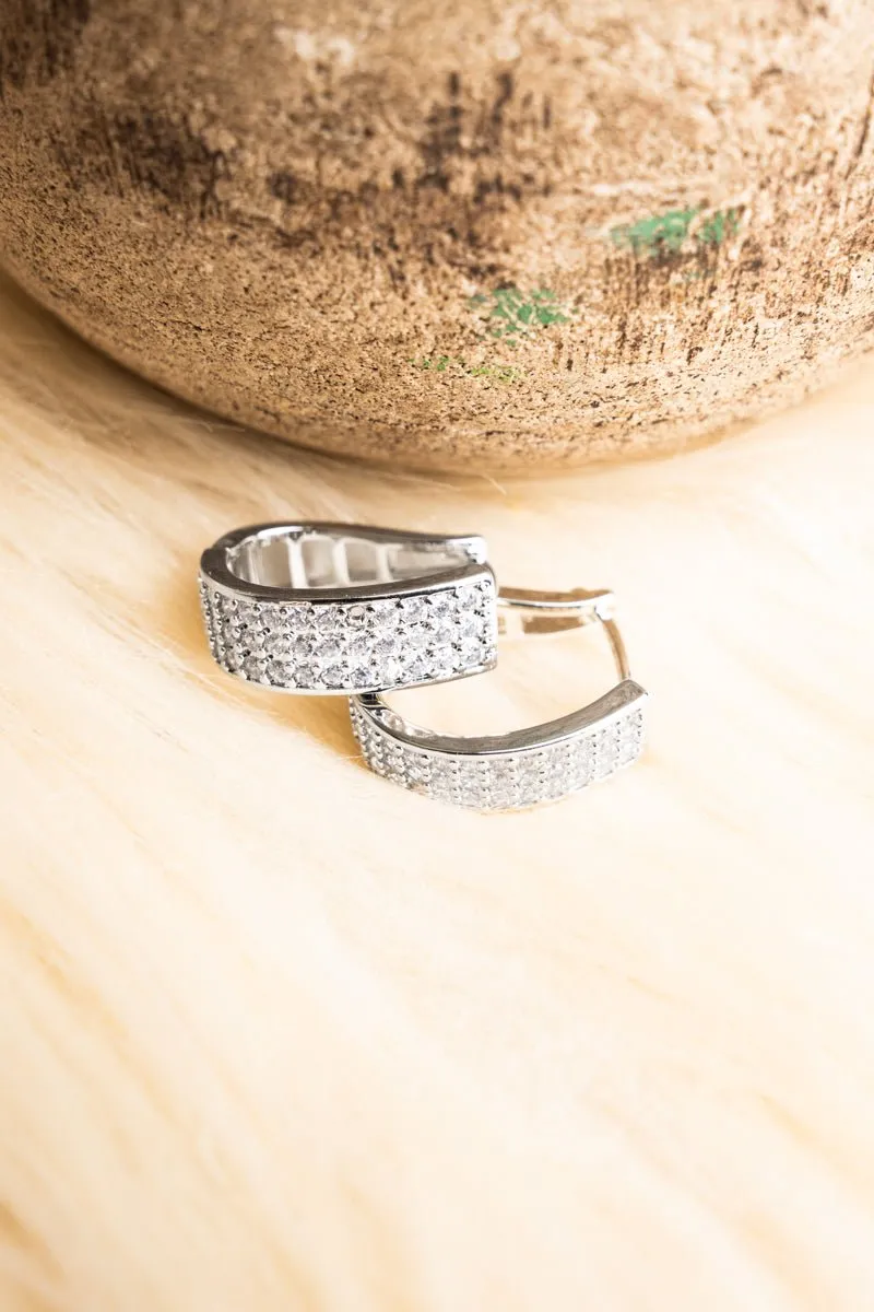 Crystal Avenue Adelaide Crystal Silvertone Huggie Hoop Earrings