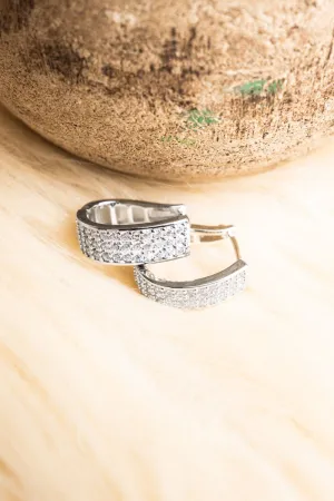 Crystal Avenue Adelaide Crystal Silvertone Huggie Hoop Earrings