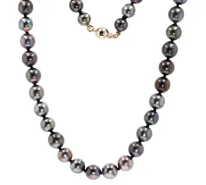 Tahitian Pearl Strand Necklace with 14k Gold Clasp