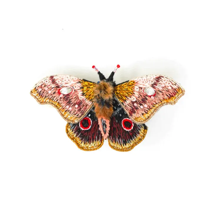Trovelore | Emperor Mopane Moth