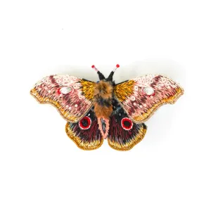 Trovelore | Emperor Mopane Moth